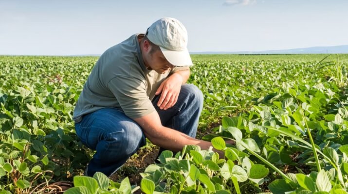 unprg - ingeniero agrónomo escurra clso